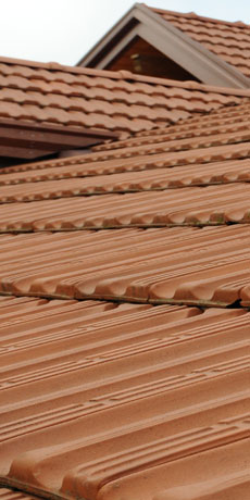 Fusco Tetti & Coperture